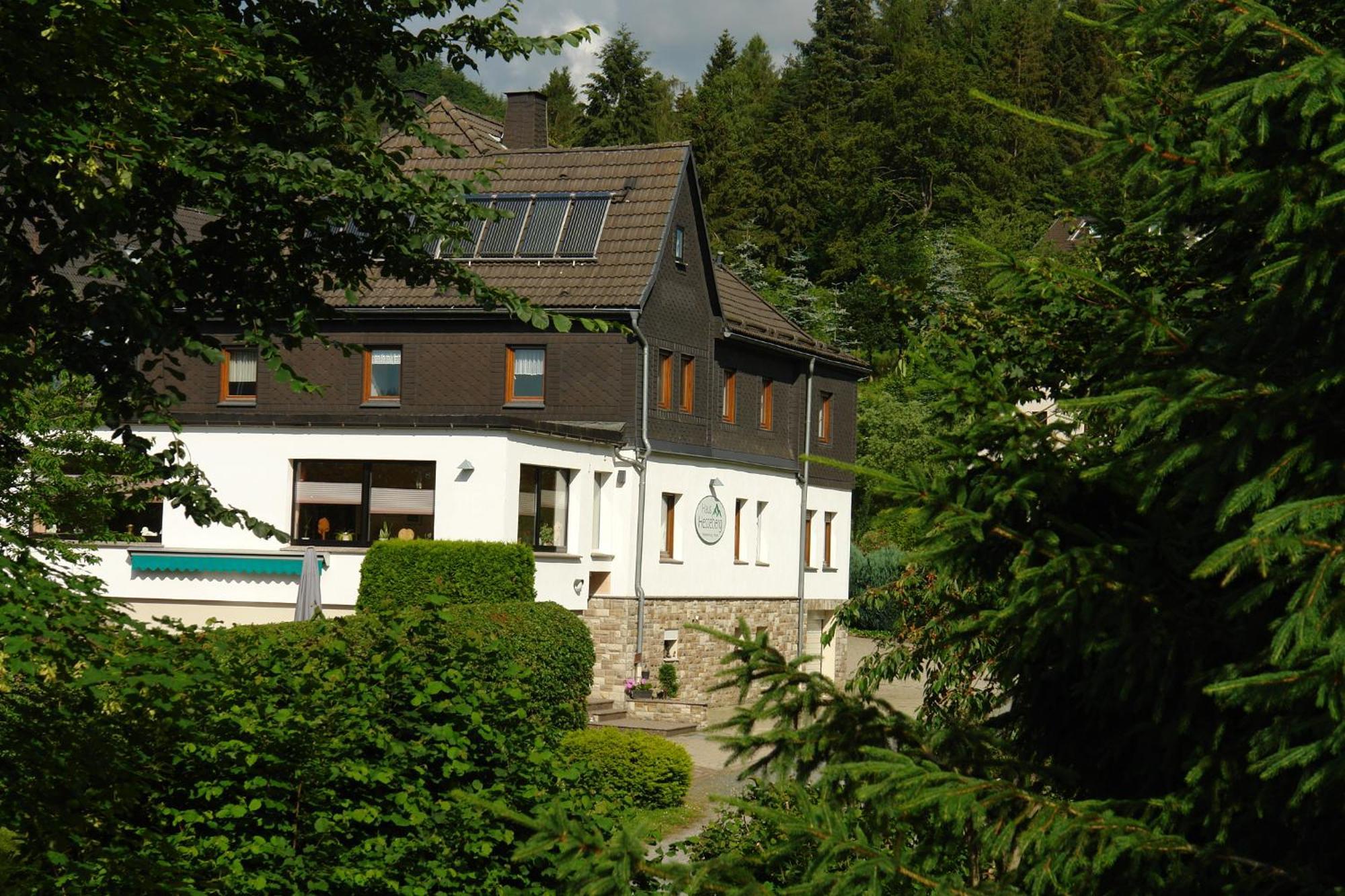 Haus Hesseberg Hotel Medebach Kültér fotó